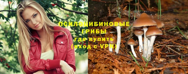 прущий лед Балабаново