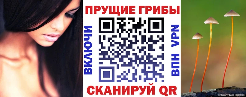 blacksprut ссылка  Свирск  Галлюциногенные грибы прущие грибы 